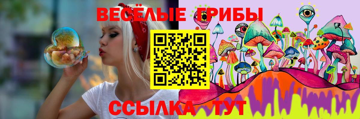 Галлюциногенные грибы MAGIC MUSHROOMS  Вход с VPN  Алатырь 