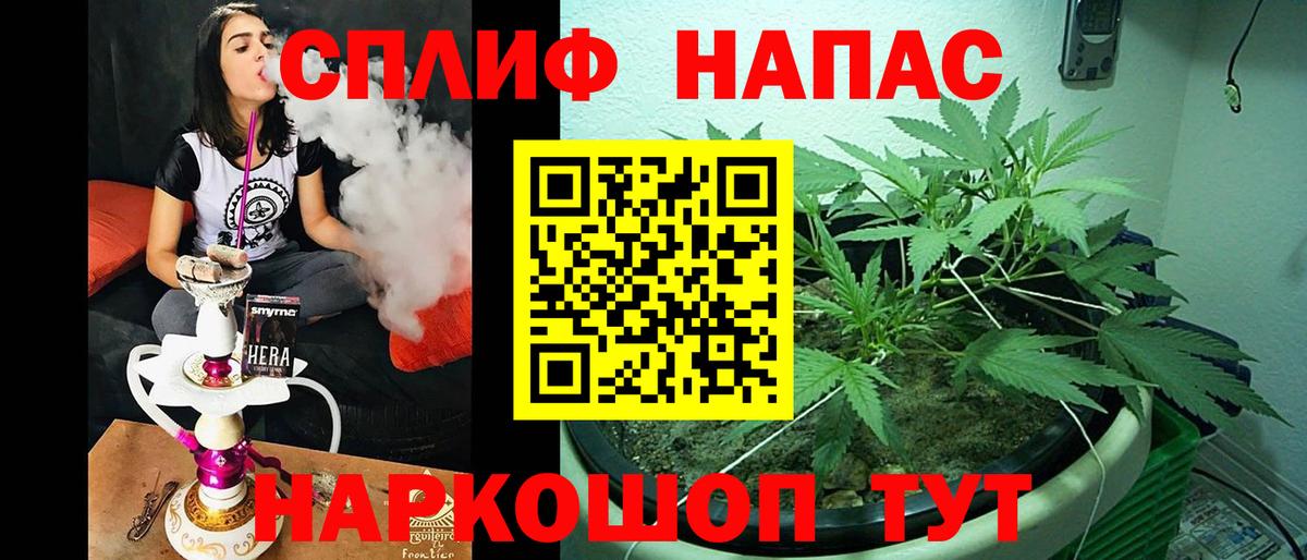 Марихуана AK-47  Бошки марихуана конопля  Вход с VPN  Алатырь  Конопля OG Kush 